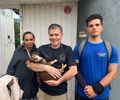 Final feliz em Arapiraca: cachorro amputado é devolvido por casal após mal entendido