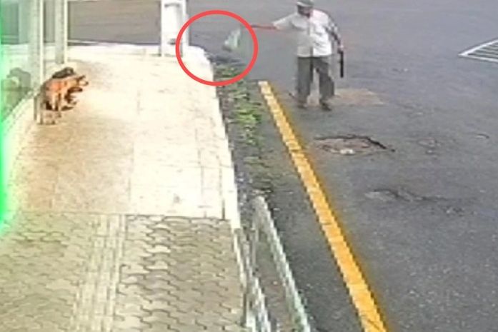 Idoso é preso após envenenar cães e oferecer R$ 5 mil à polícia para não ser autuado