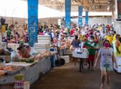 Consumidores devem ficar atentos aos dias e horários de funcionamento.