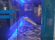 Quadrilha explode duas agências bancárias e joga grampos em rodovia para dificultar perseguição