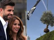 Shakira manda retirar árvore de casa onde morava com Piqué