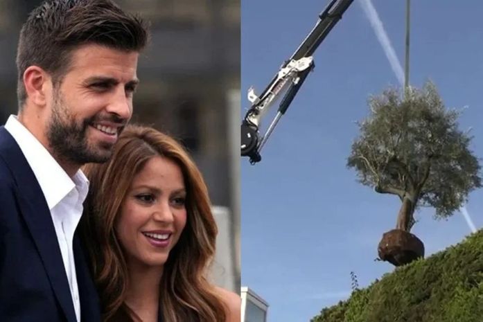Shakira manda retirar árvore de casa onde morava com Piqué