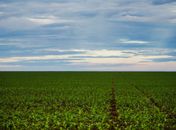 Entenda o que muda com a MP da regularização fundiária