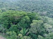 IMA cria segunda maior Reserva Particular do Patrimônio Natural em AL