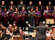 Quinta Sinfônica apresenta Concertino para Violino e Orquestra de Câmara