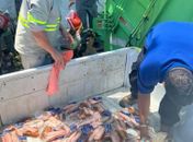 Alimentos como carnes e laticínios com validade vencida foram apreendidos.