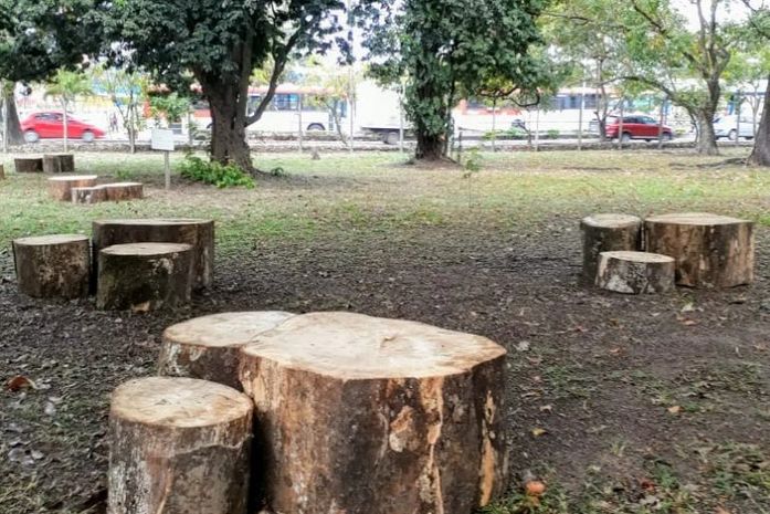 Parque do Horto será aberto ao público no próximo sábado