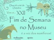 Mamíferos são tema do 22º Fim de Semana no Museu