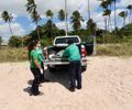 Tartaruga-verde resgatada em Marechal Deodoro é devolvida ao mar após reabilitação