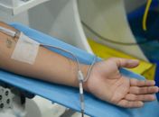 Dia Mundial do Doador de Sangue: saiba mais sobre a doação regular