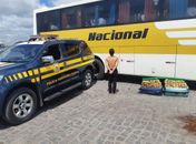 Droga foi apreendida pela PRF na BR-101