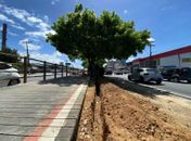 Prefeitura inicia nova etapa da iluminação na ciclovia da Avenida Fernandes Lima
