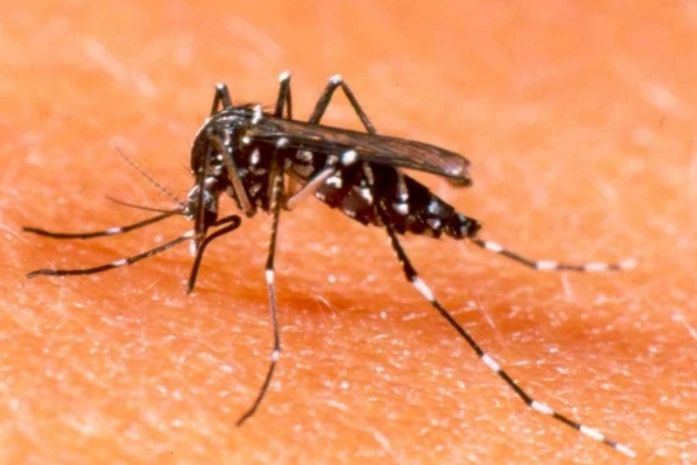 Órgãos públicos promovem mutirão de combate ao Aedes aegypti 
