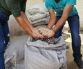 Emater atende 9 mil agricultores familiares no primeiro semestre de 2025