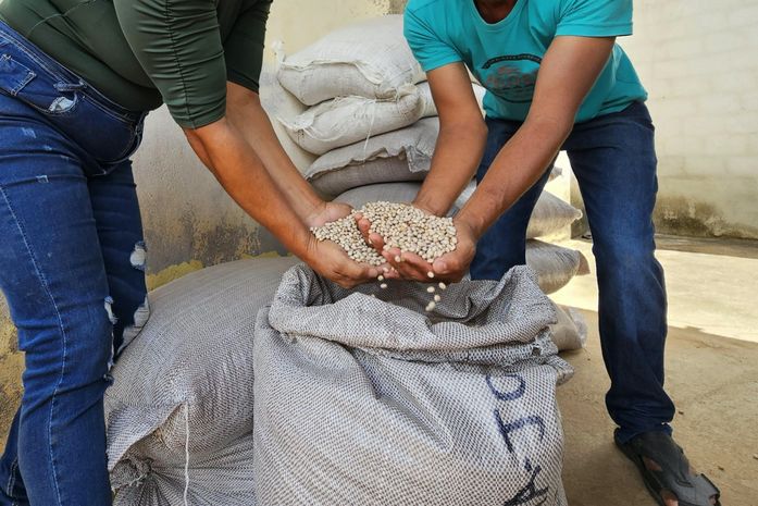 Emater atende 9 mil agricultores familiares no primeiro semestre de 2025