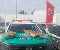 Espingarda e peles de jacarés são apreendidos pela PM em Piaçabuçu