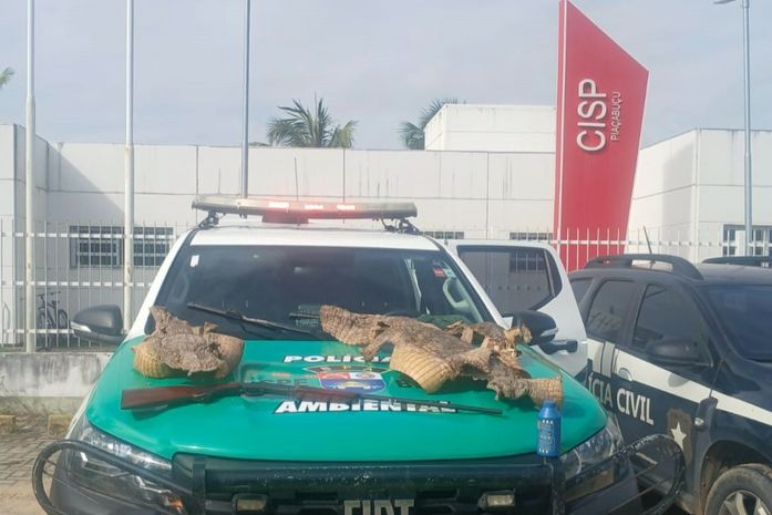 Espingarda e peles de jacarés são apreendidos pela PM em Piaçabuçu