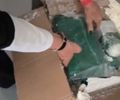 Entrega vigiada: homem é preso em flagrante ao receber encomenda com mais de 4kg de maconha