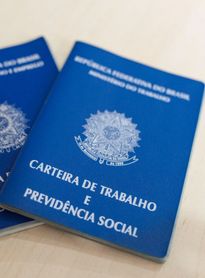 Procurando emprego? Sine Maceió oferta mais de 1.500 vagas; veja lista