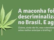 "A maconha foi descriminalizada no Brasil. E agora?"