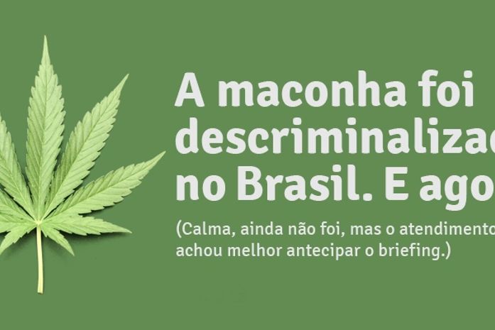 "A maconha foi descriminalizada no Brasil. E agora?"
