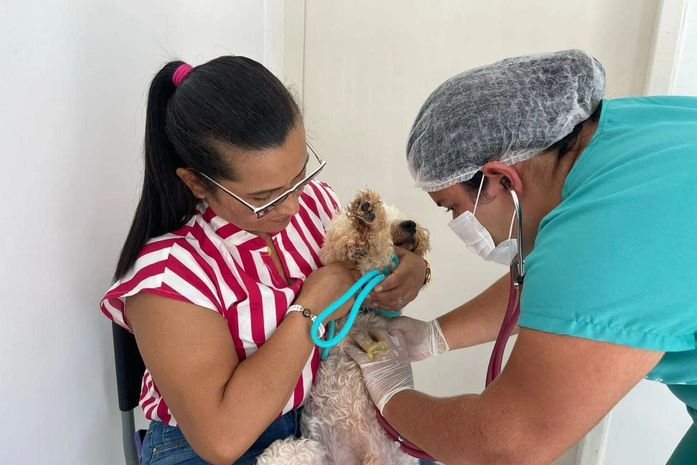 Prefeitura de Branquinha implanta Serviço de Castração para cães e gatos