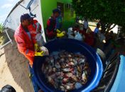 Prefeito Tiago Freitas realiza a maior entrega de cestas básicas e peixes frescos da história de Piranhas