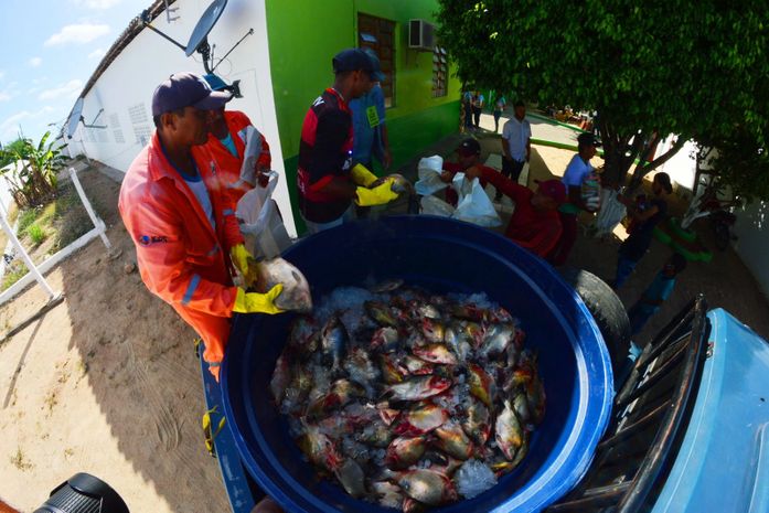 Prefeito Tiago Freitas realiza a maior entrega de cestas básicas e peixes frescos da história de Piranhas
