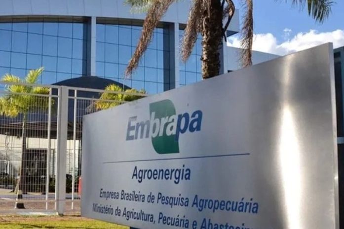Concurso da Embrapa oferece salários de ate R$ 12,8 mil