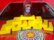 PM apreende 12 quilos de pasta base de cocaína no quintal de residência, em Maceió