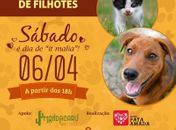Feira de adoção de filhotes será atração do sábado à noite em Maceió