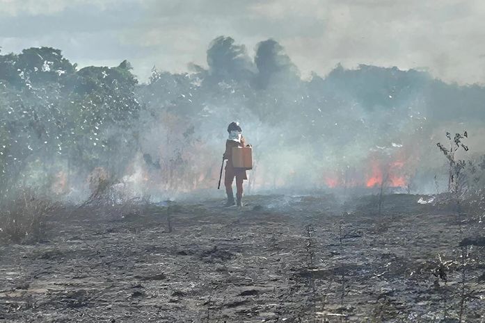 Bombeiros combatem fogo em vegetação próximo a tubulação da Petrobras na BR-316