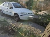 Árvore de grande porte cai sobre veículo no bairro do Prado, em Maceió