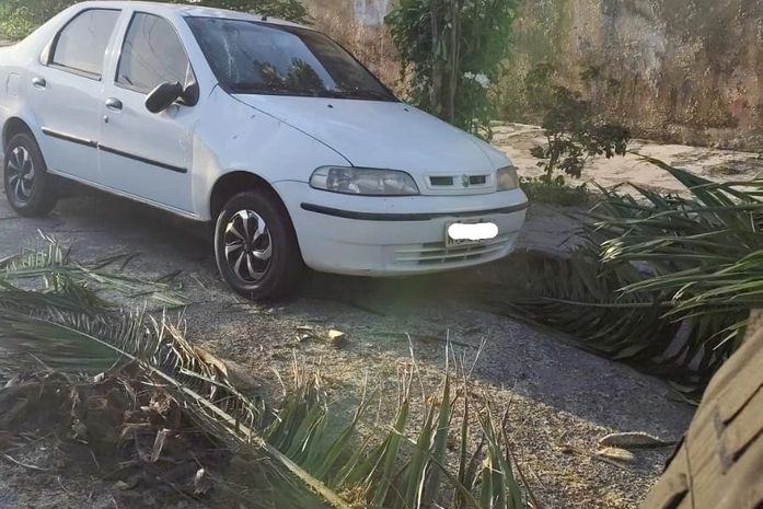 Árvore de grande porte cai sobre veículo no bairro do Prado, em Maceió