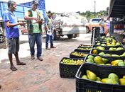 PAA adquire 12 toneladas de alimentos de agricultores coruripenses