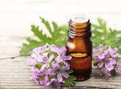 Magia dos Aromas: 5 óleos essenciais para usar no dia a dia