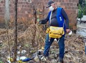 Combate ao Aedes aegypti: Prefeitura monitora mais de 2 mil terrenos em Maceió 