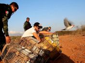 FPI do São Francisco resgata 2.040 animais no Sertão