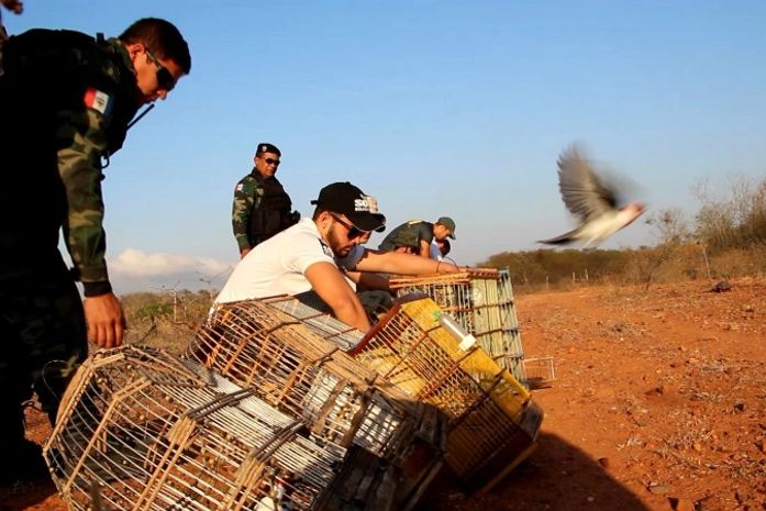 FPI do São Francisco resgata 2.040 animais no Sertão