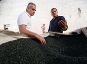 Alfredo Gaspar discute com empresários importância da reciclagem e de um novo polo industrial em Maceió