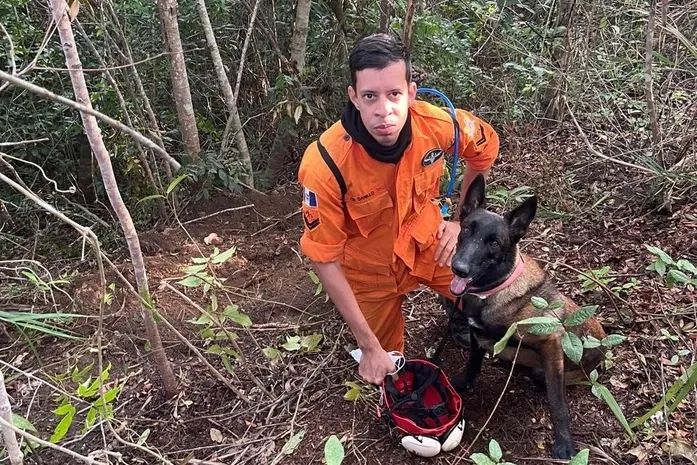Corpo encontrado em cova rasa, com a ajuda de cão de salvamento, é de uma mulher, informa Polícia Científica