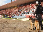 Canil do Bope sempre presente nas partidas de futebol