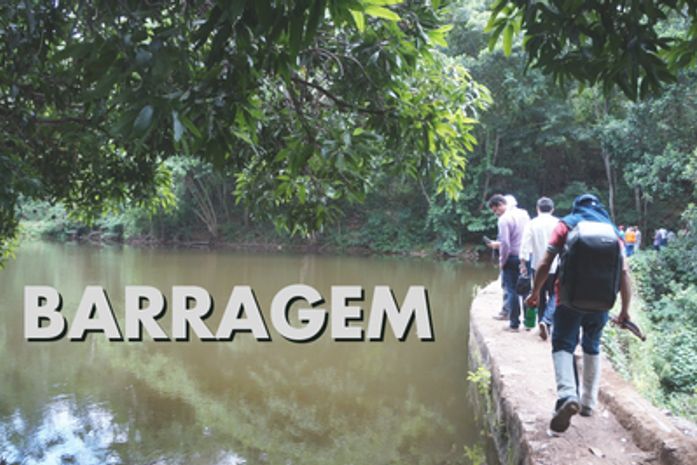 MPF atua por segurança e regularização da Barragem Bálsamo, em Palmeira dos Índios e Quebrangulo