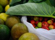 Estudo da USP mostra melhora no consumo de alimentos saudáveis