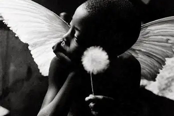 E tuas asas, de adulto, ainda voam, ou, foram sufocadas pelos caminhos estreitos da vida?