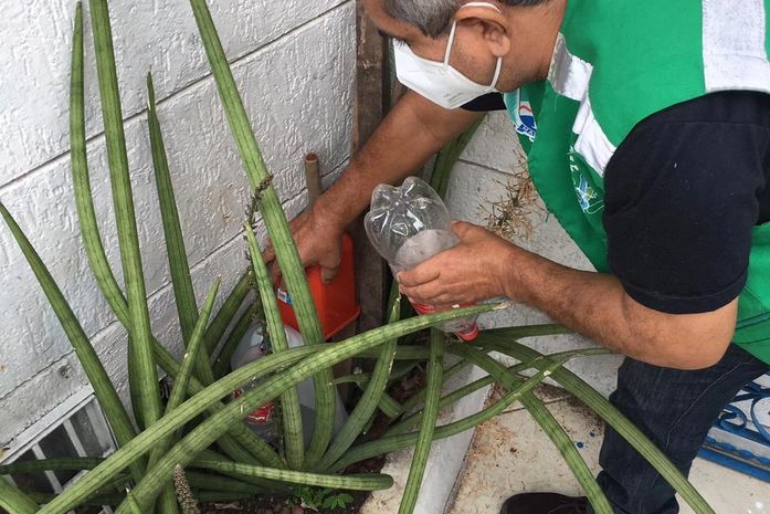 Prefeitura intensifica cuidados e chama a atenção da população para a eliminação de potenciais criadouros no ambiente doméstico