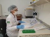Chefe do Laboratório Forense, doutora Rosana Coutinho