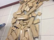 Droga foi apreendida dentro de veículo na BR-101