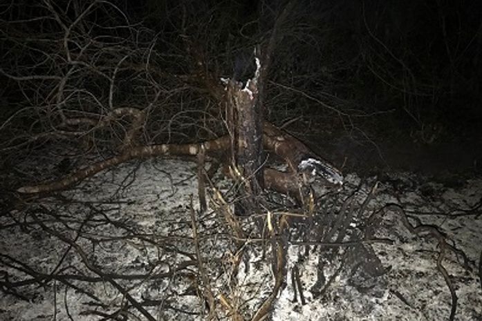 Suspeito queimou e destruiu vegetação nativa de Área de Proteção Ambiental