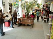 Forró anima as compras nos mercados públicos de Maceió